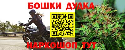прущие грибы Тулун